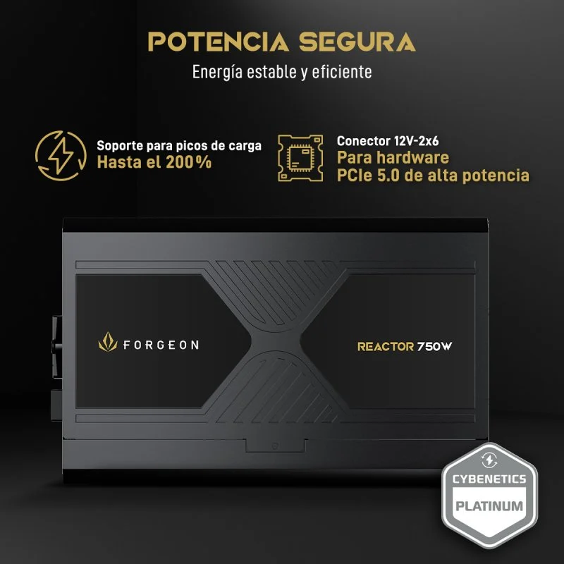 Detalle de Forgeon Reactor 750W fuente ATX 3.1