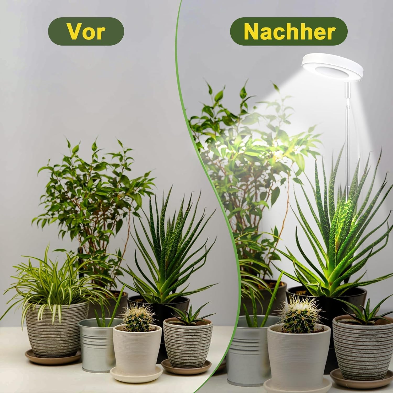 Detalle de Cieex 2er Pflanzenlampe Led Vollspektrum für Zimmerpflanzen – verstellbare Höhe, Timer und 4 Helligkeitsstufen