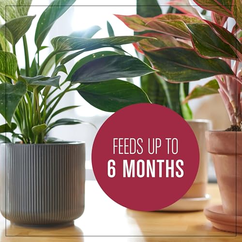 Thumbnail 8 de Miracle-Gro Houseplant Potting Mix, 4 qt: A practical indoor soil for thriving tropical plants