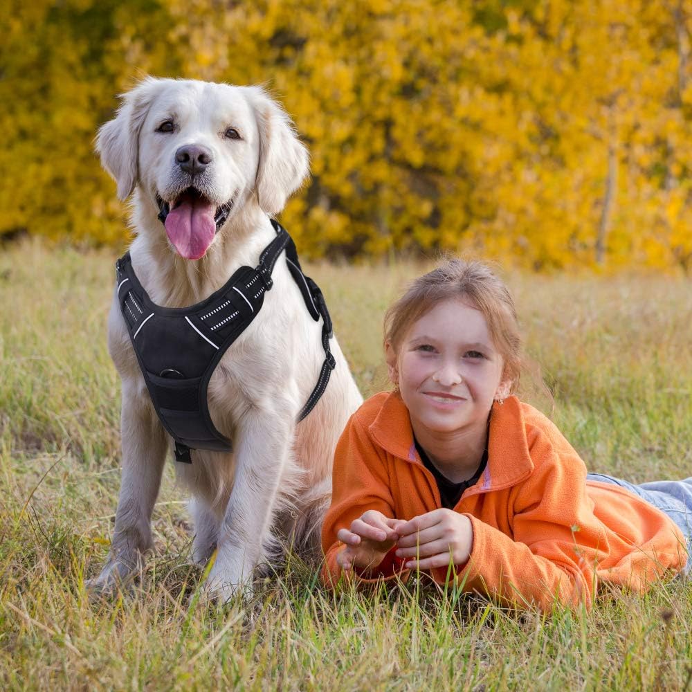 Thumbnail 1 de Rabbitgoo Harnais chien réglable gilet noir avec poignée et bandes réfléchissantes (taille XL)