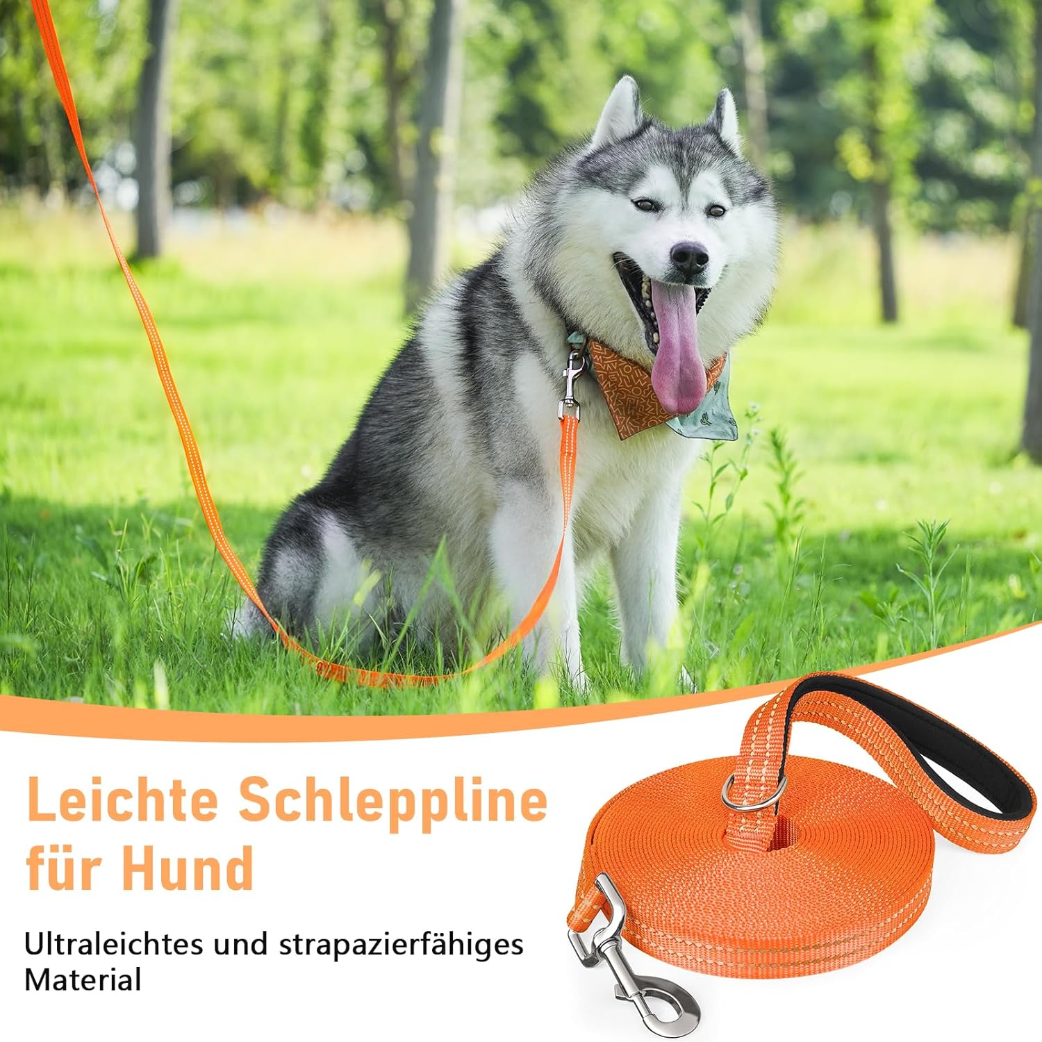 Thumbnail 1 de X XBEN Schleppleine 10M für Hunde 📏