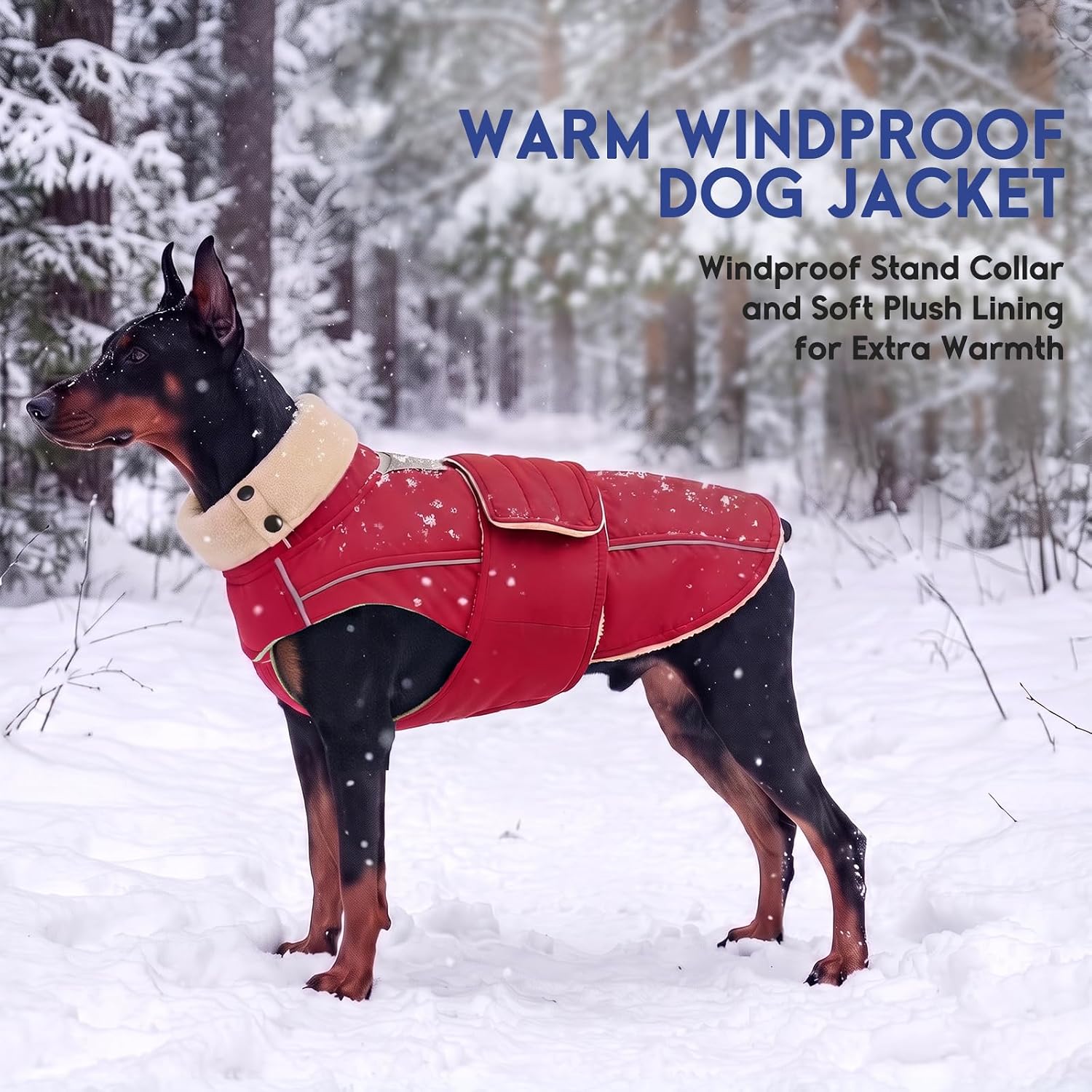 Detalle 1 de ASENKU Dog Coat, size M