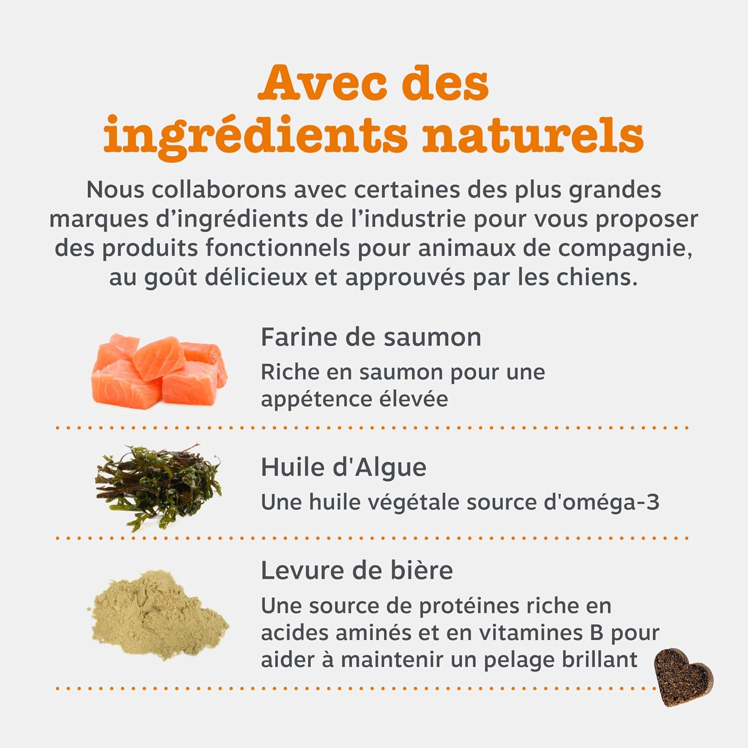 Detalle de Zesty Paws Santé Peau et Pelage pour Chiens – Bouchées gourmandes à l’huile de poisson (90 unités)