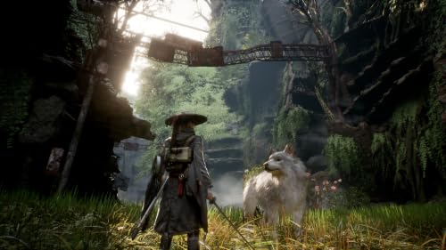Thumbnail 2 de Beast of Reincarnation on PS5 by Solutions 2 Go