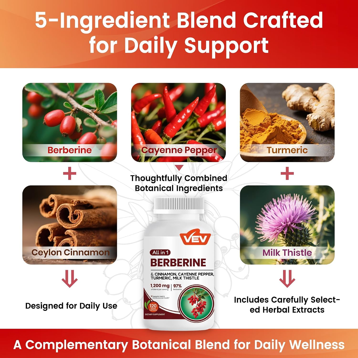 Detalle 2 de VEV Berberine Supplement, 120 Capsules