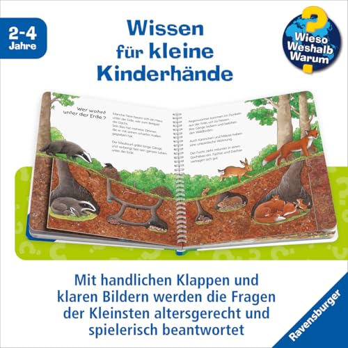 Detalle 2 de Wieso? Weshalb? Warum? junior Band 6: El bosque