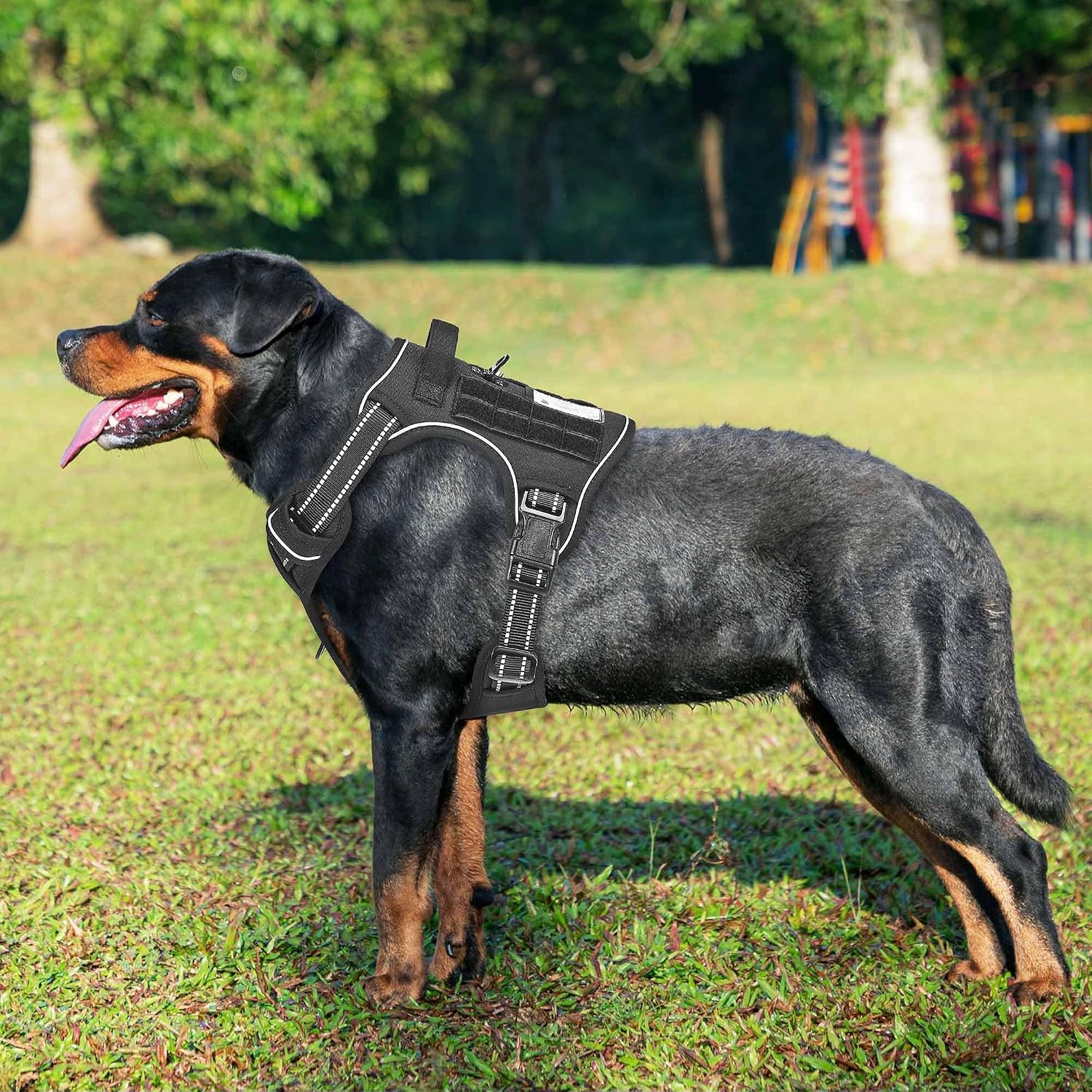 Thumbnail 1 de Haapaw Heavy Duty Tactical Dog Harness, Large
