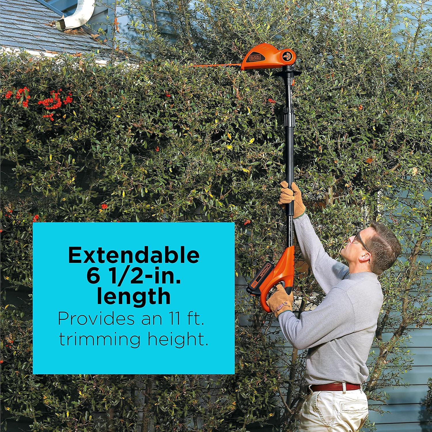 Thumbnail 5 de BLACK+DECKER Cordless Pole Hedge Trimmer, 18-inch