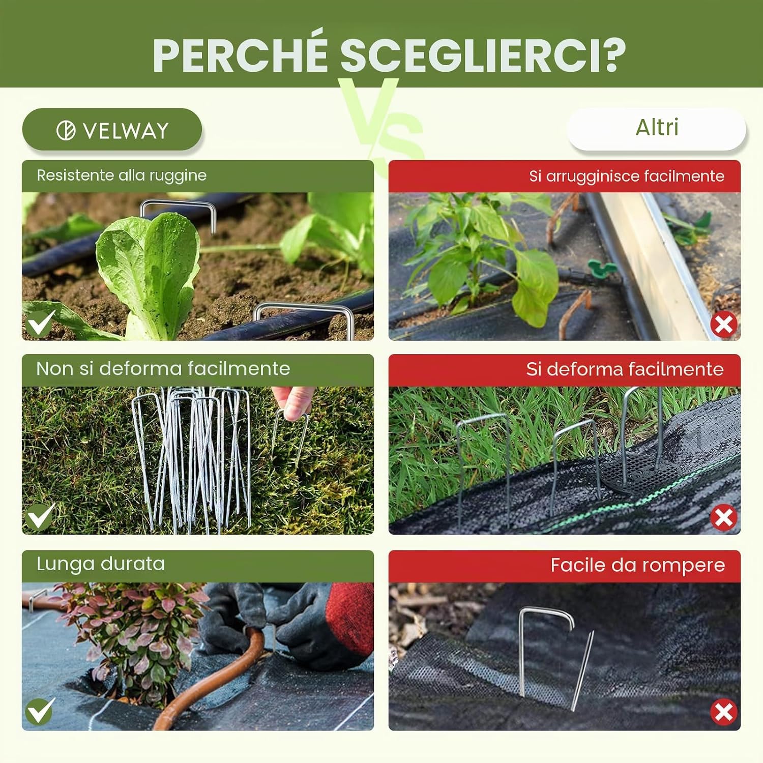 Detalle de Velway Set di 50 Picchetti per Telo Pacciamatura (150x36mm, Ø 3mm) in acciaio zincato – U a testa piatta, antiruggine