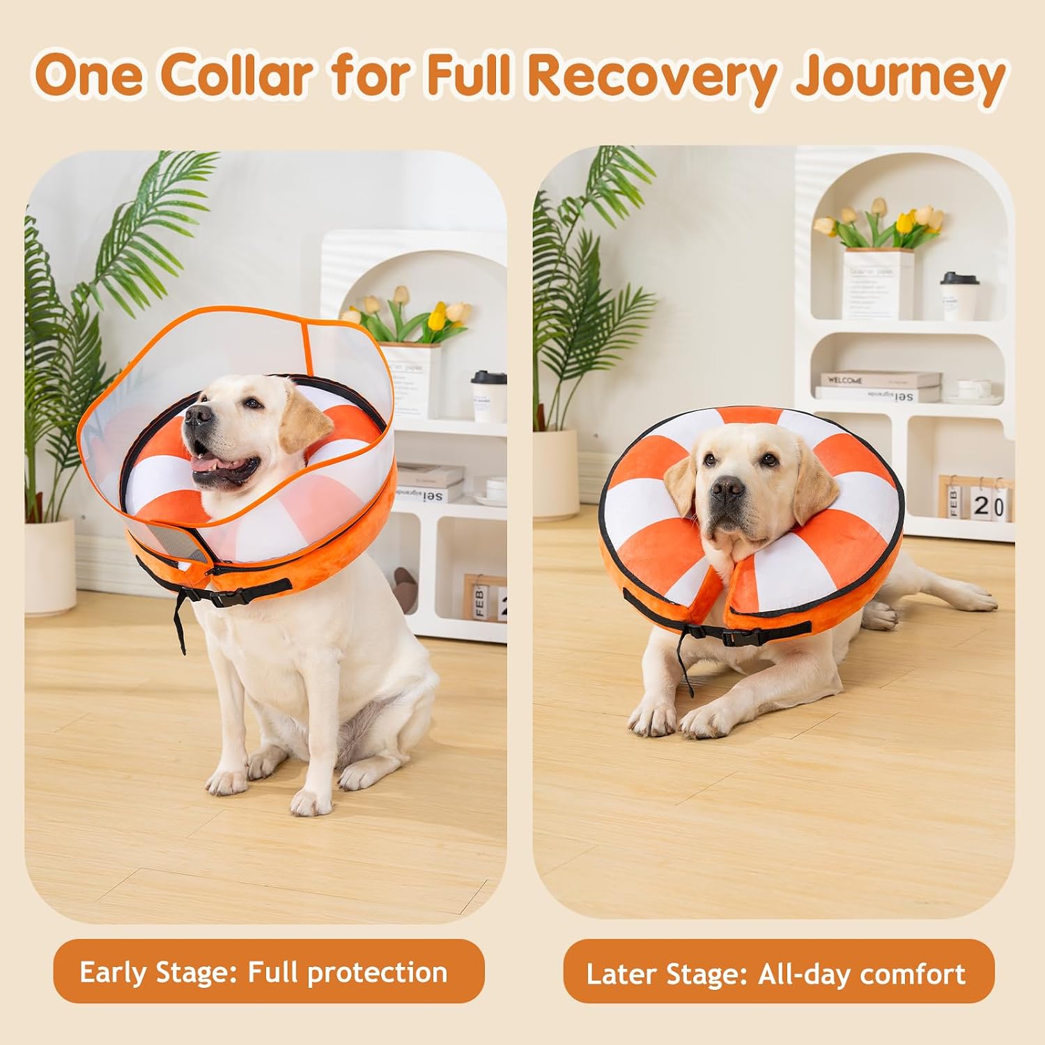 Detalle 1 de Avont Inflatable Dog Recovery Collar XL