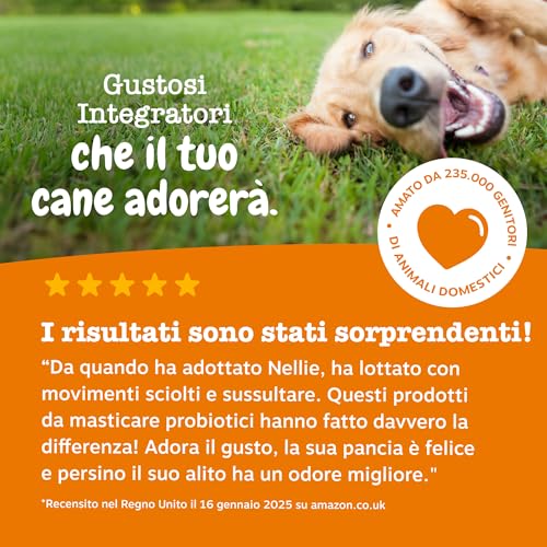 Thumbnail 6 de Zesty Paws Probiotici per Cani – 90 Bocconcini: benessere digestivo e supporto immunitario