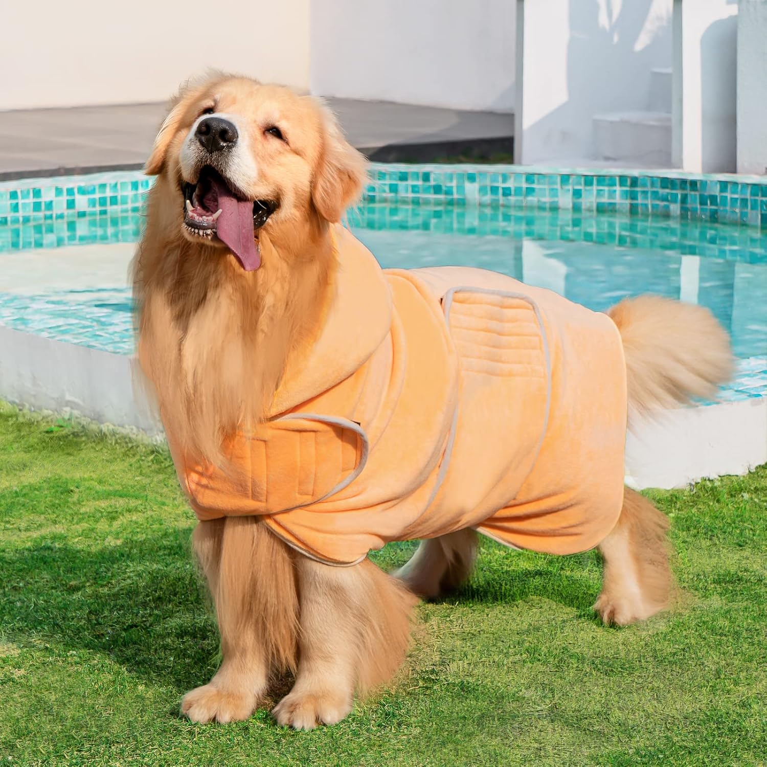 Thumbnail 2 de Avont Dog Drying Coat Microfibre Bath Robe Towel with Hood & Belly Straps (XL) - Yellow