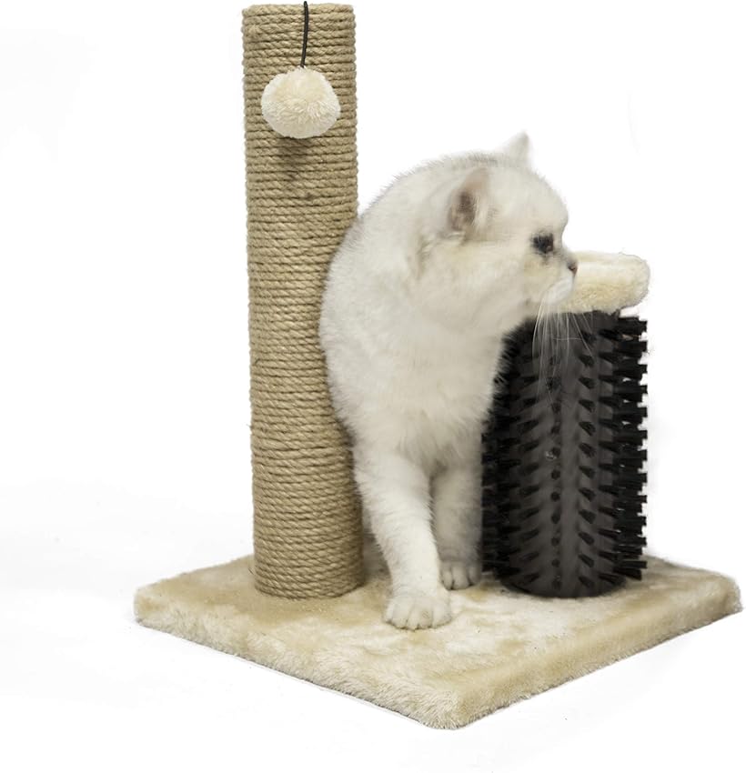 Detalle 2 de Amazon Basics Rascador para gatos 42 cm 🐱