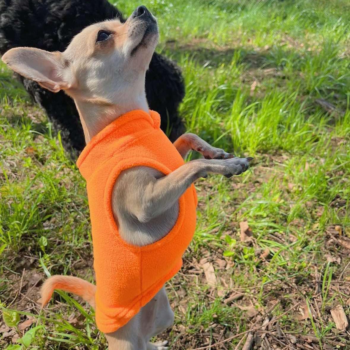 Thumbnail 6 de JACKO & CO Fleece Vest Dog Sweater with Leash Ring (Orange, XL) – Soft, Lightweight Coat for Small to Medium Pets