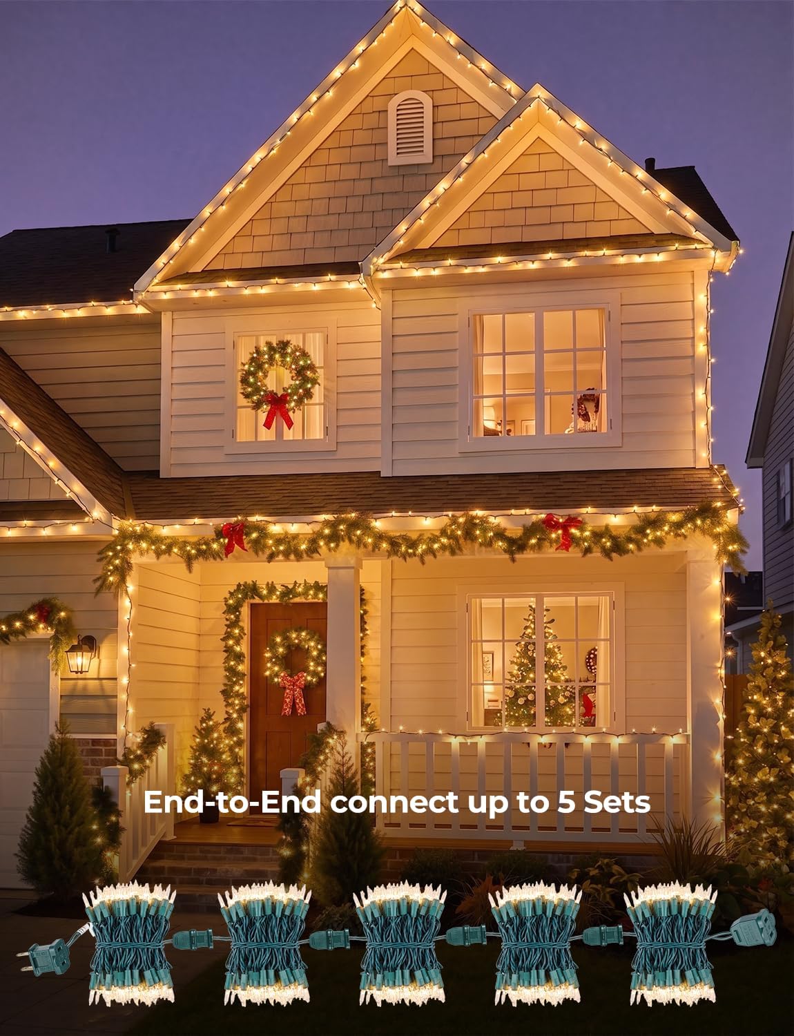 Detalle 1 de Incandescent Mini String Lights 20FT