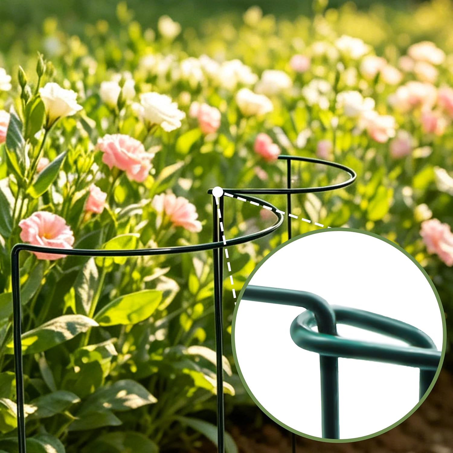 Thumbnail 6 de 10Pcs Thicken 4MM Metal Garden Supports (25cm Ø x 60cm H) – Extra Thick Plant Cages for Tomatoes & Peonies