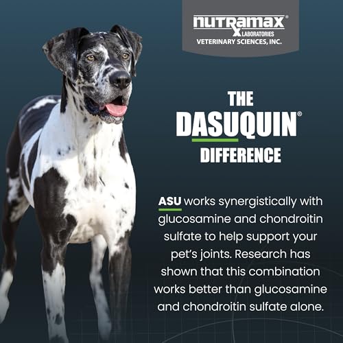 Thumbnail 5 de Nutramax Dasuquin MSM Joint Supplement for Large Dogs, Soft Chews (84 ct)