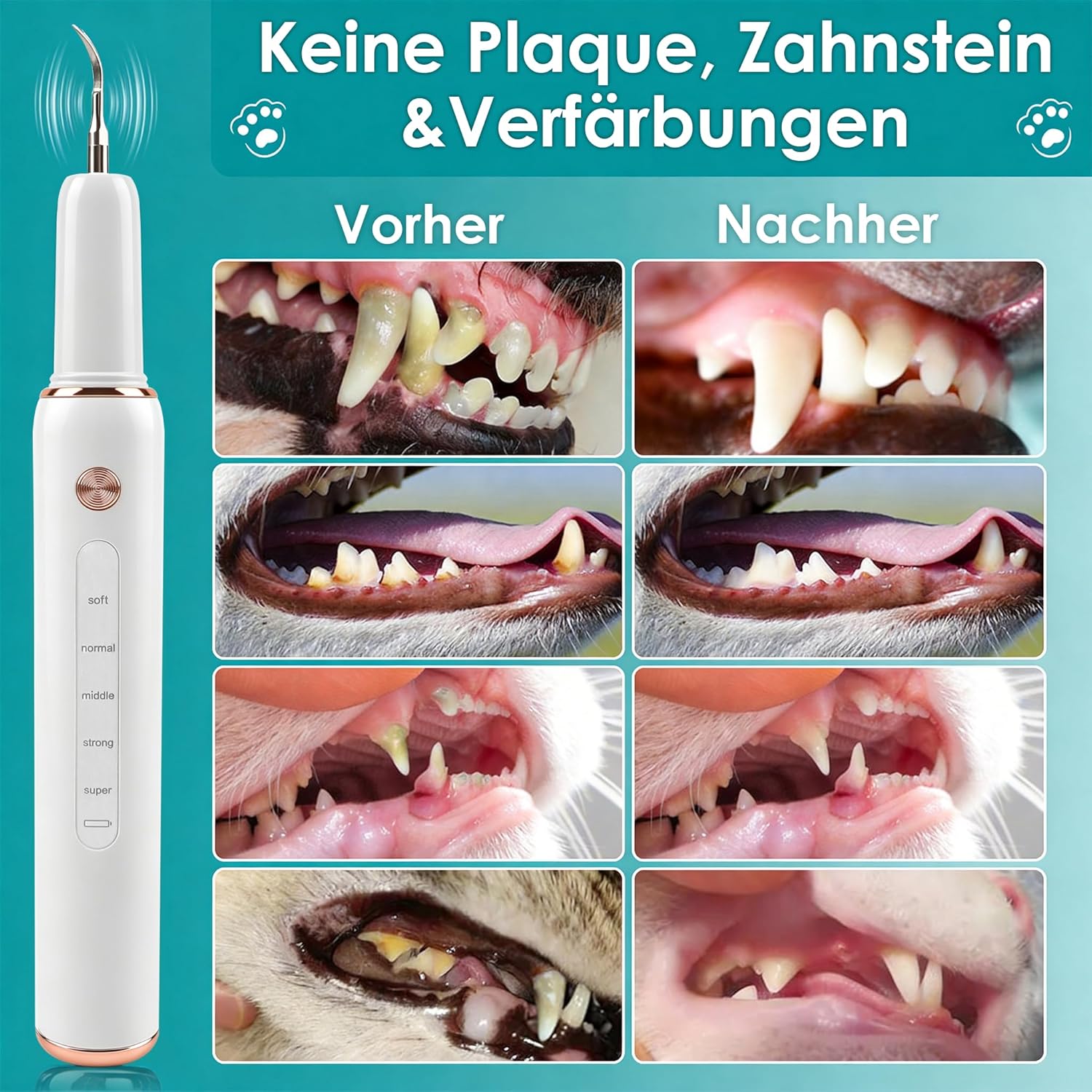 Thumbnail 4 de FIVAVA Pulizia Denti per Cani e Gatti: kit ricaricabile con 5 modalità