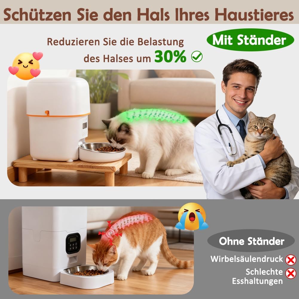 Detalle 2 de SZEE Erhöhter Stand Futterautomat Katze
