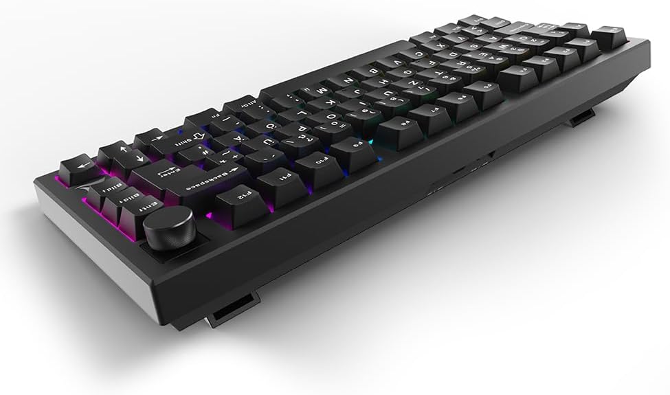 Thumbnail 4 de Sharkoon SKILLER SGK55W – Kabellose Gaming-Tastatur mit 75%-Layout und Hot-Swap