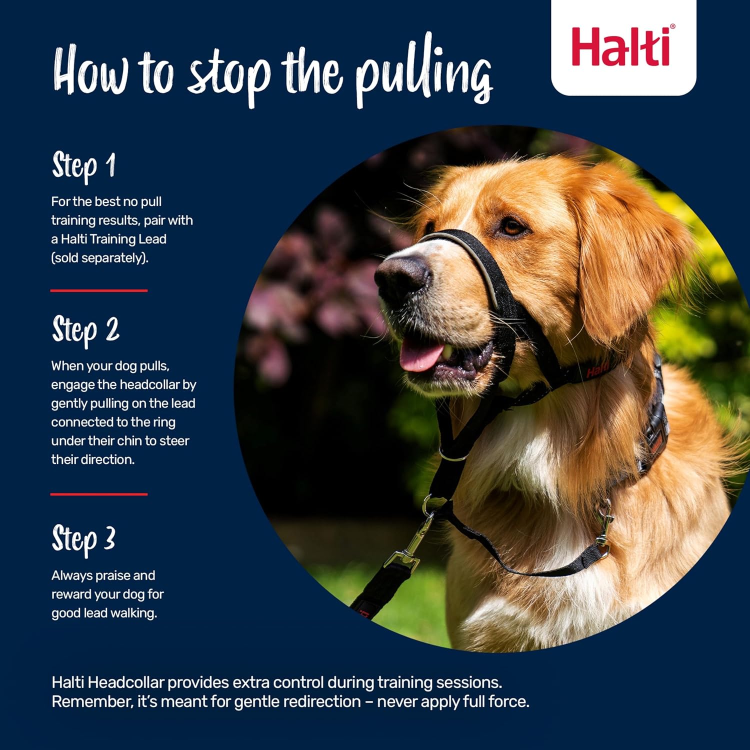 Detalle 2 de Halti Halfter Hundetraining Halsband Größe 2 Rot