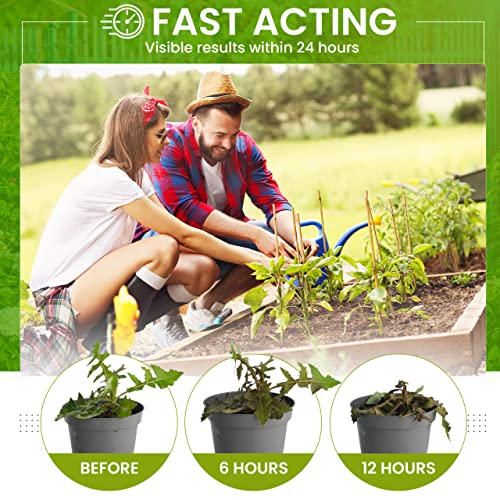 Thumbnail 5 de WeedKil Glyphosate Free Weed Killer 1 Litre – Safe, Ready-to-Use Organic Weed Control