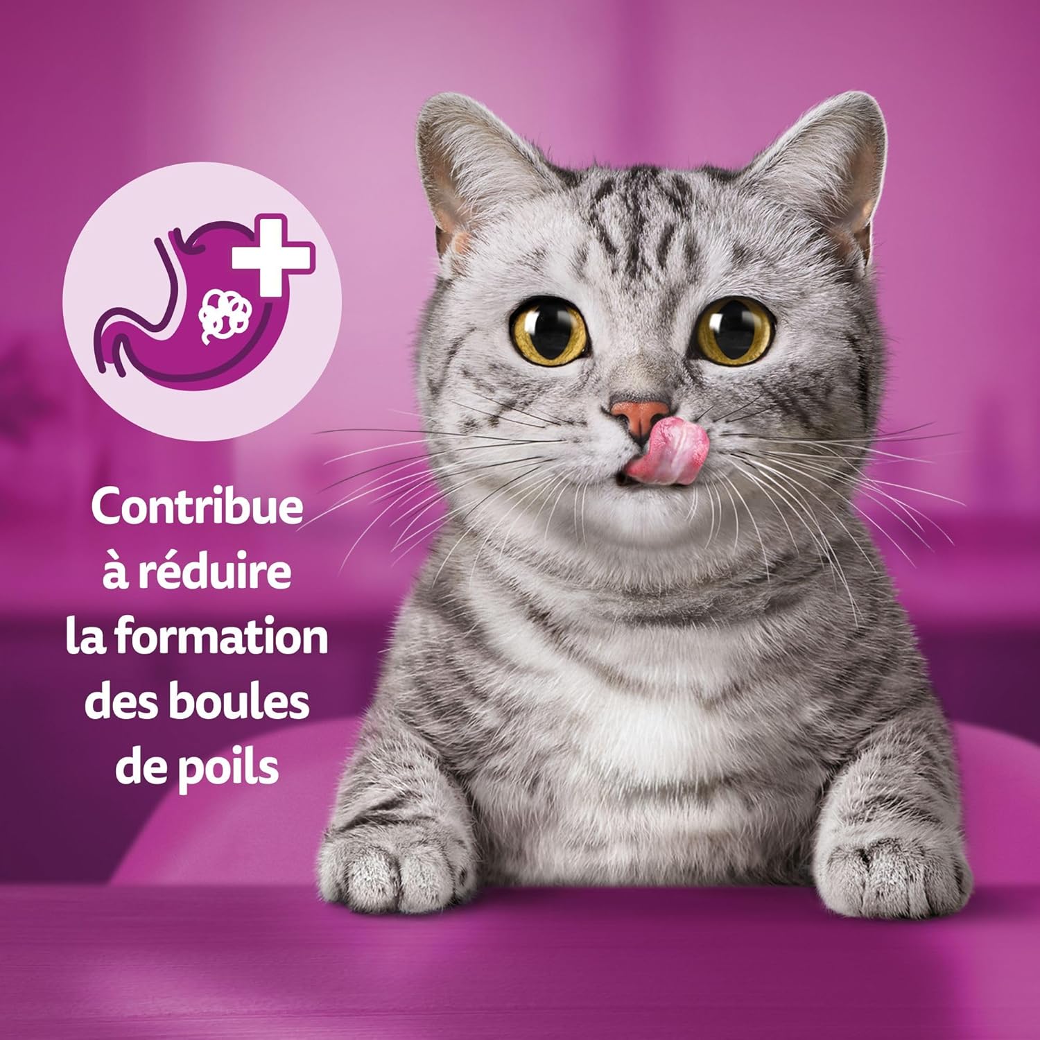 Detalle de Whiskas Contrôle des Boules de Poils Friandises pour Chats 50g Lot de 6