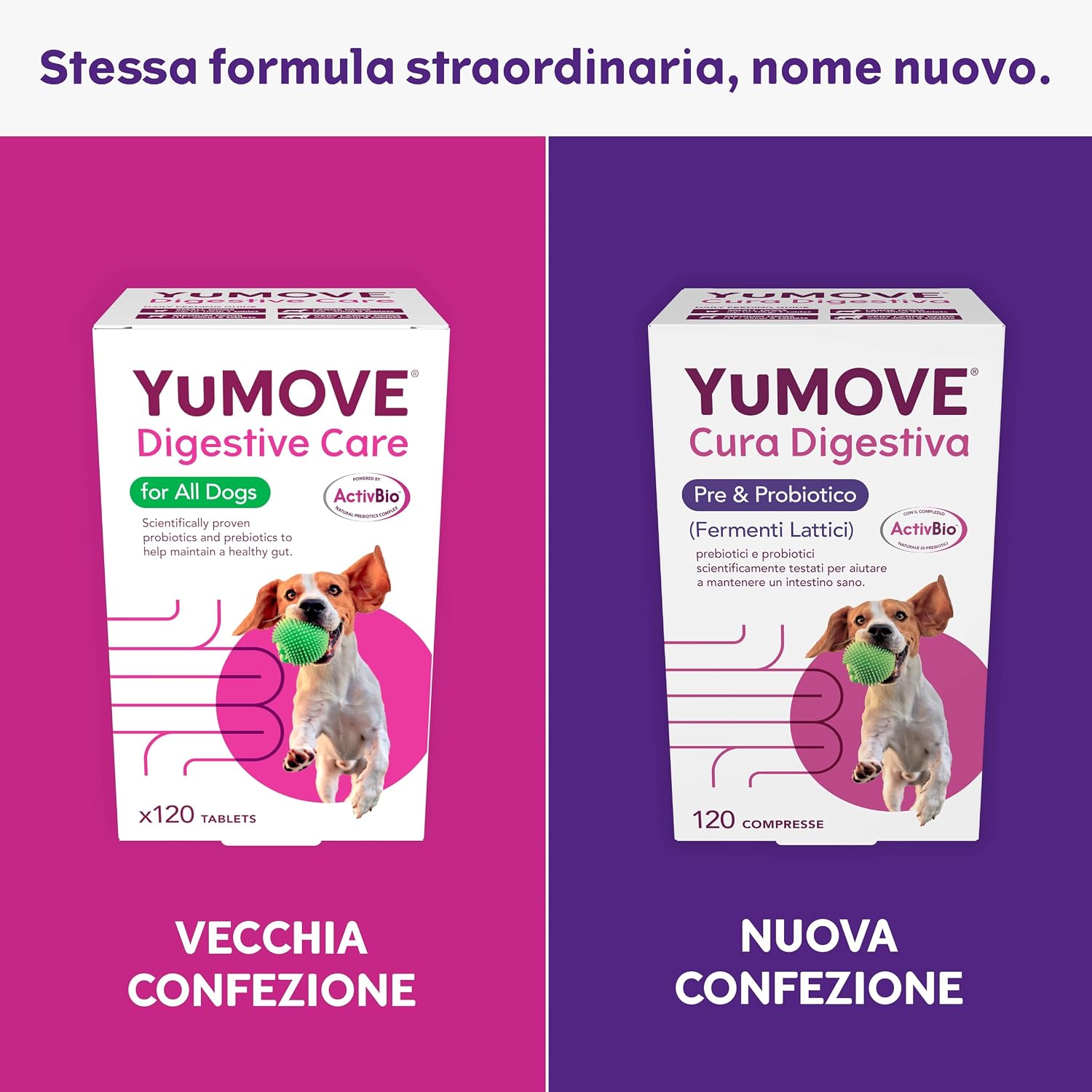 Detalle 2 de YuMOVE Fermenti Lattici Cane & Probiotici – 120 compresse con 200 Mio CFU