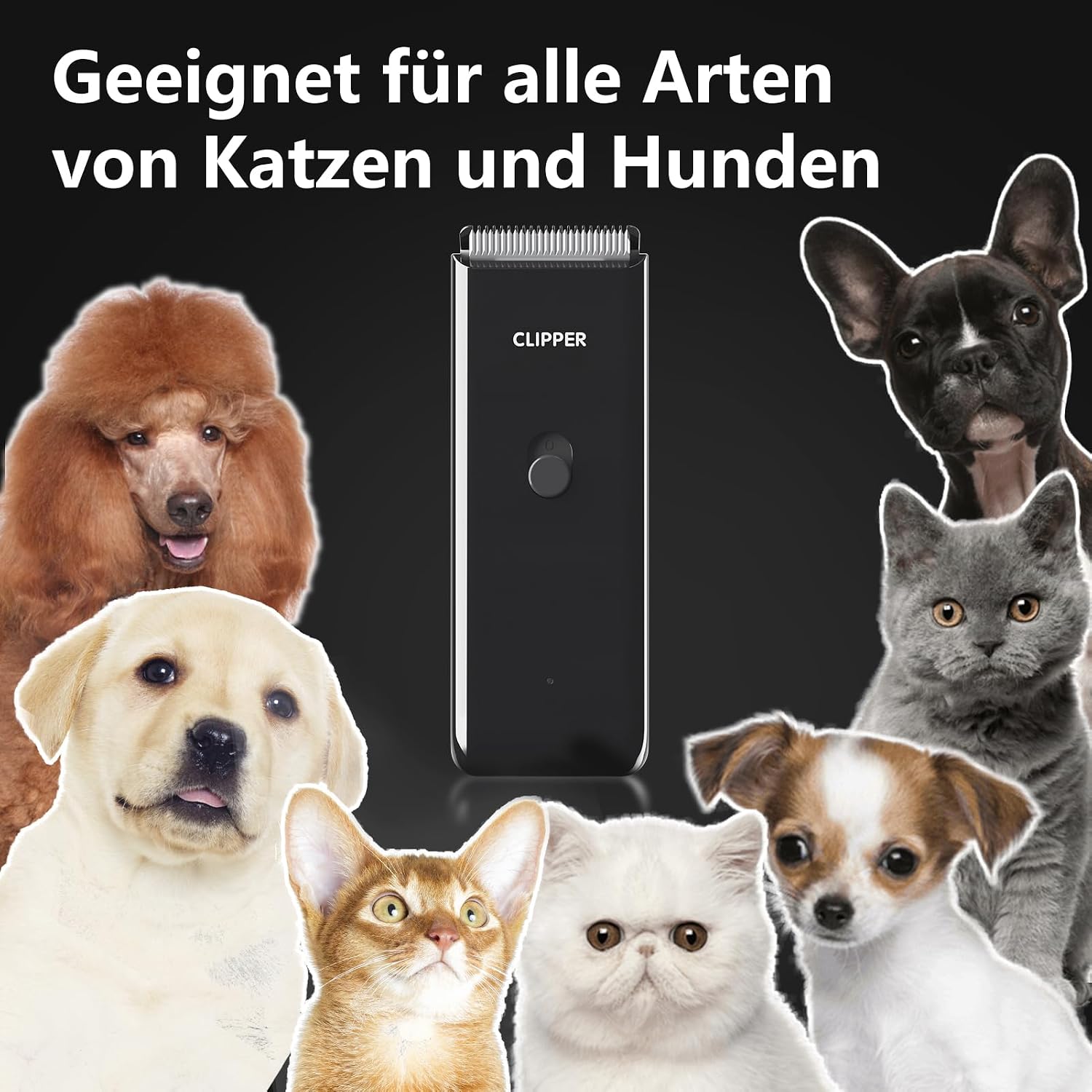 Detalle de ENSSU Hundeschermaschine kabellos & wiederaufladbar mit abnehmbaren Keramikklingen – Set für Katze und Hund, schwarz