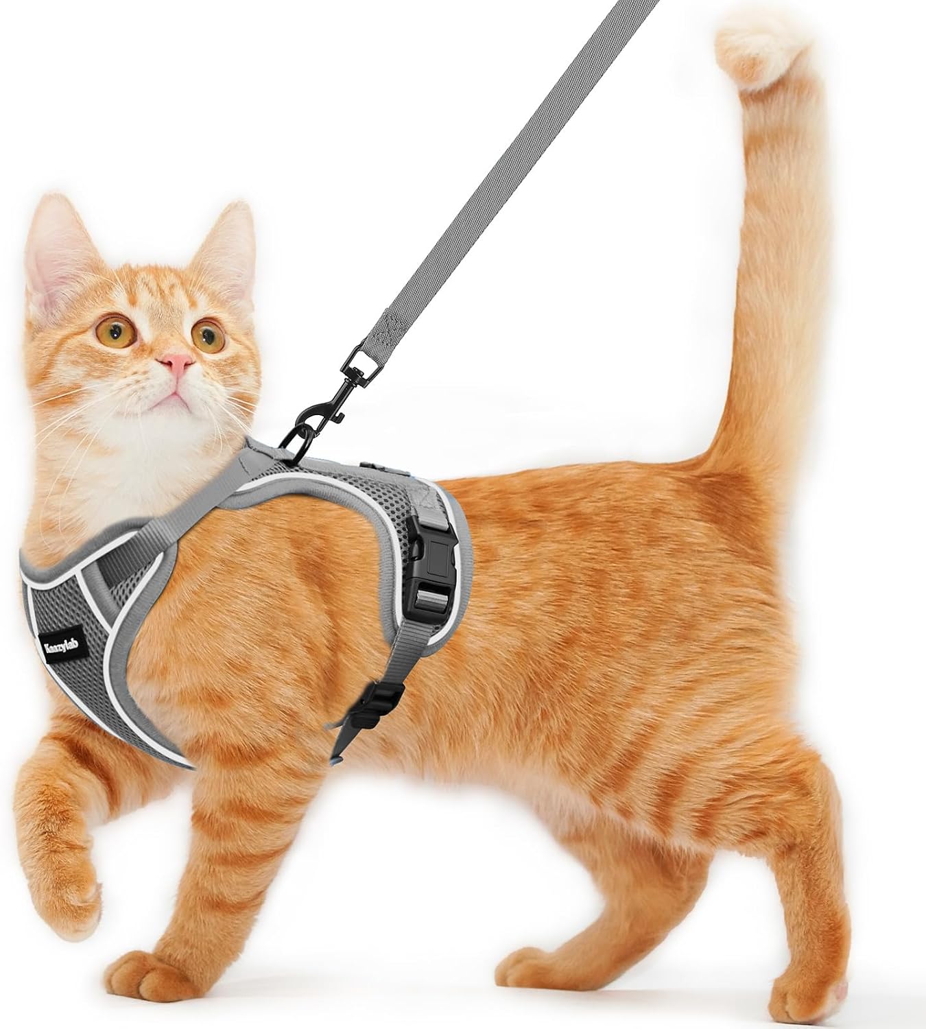 Detalle de Kaazylab Kaazy Cat harness, Adjustable Grey Mesh Cat Harness for 7–12 lb Cats