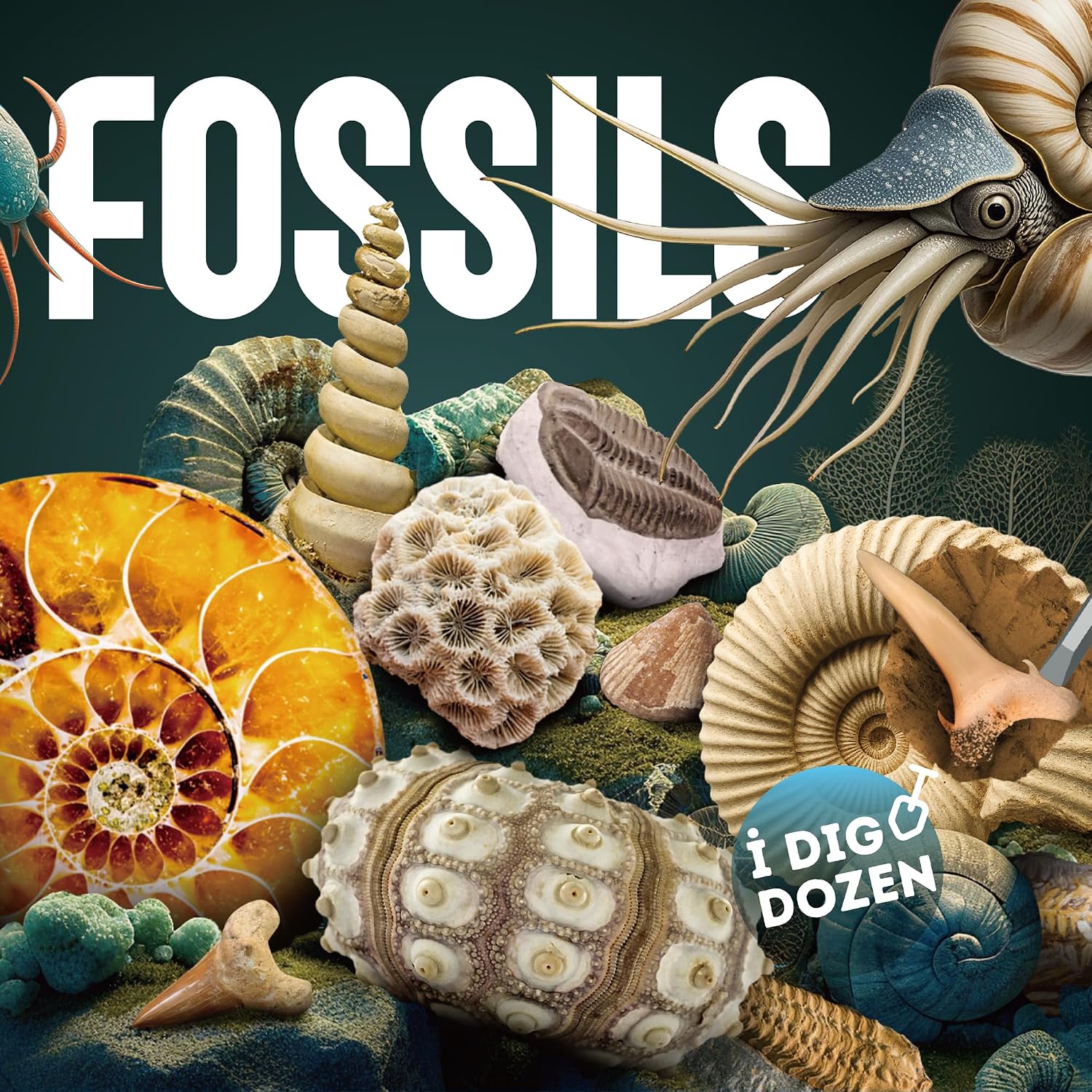 Detalle 2 de Gamerside Fossil Digging Kit, 12 Fossils