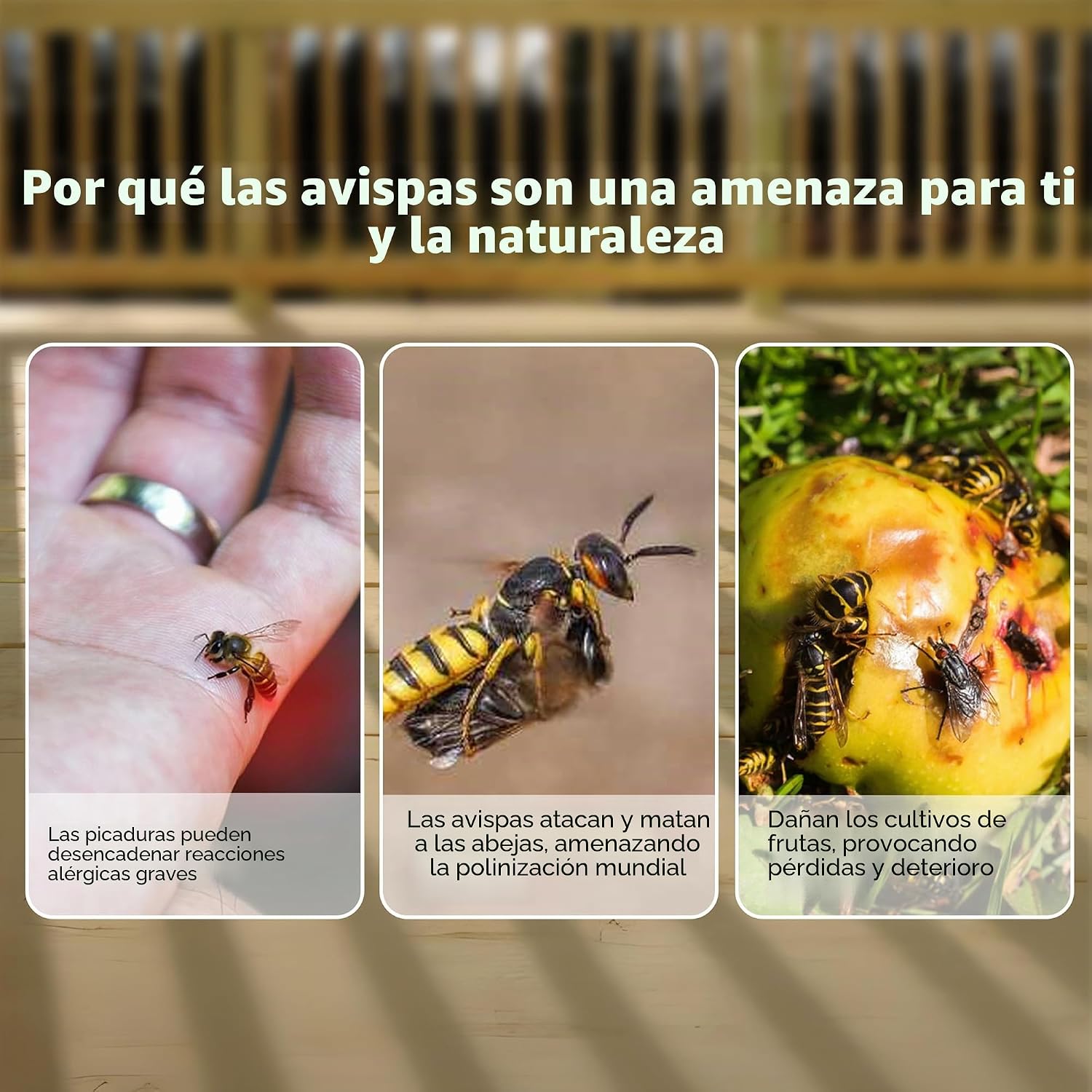 Detalle 2 de ASPECTEK Trampa para Avispas 2 unidades
