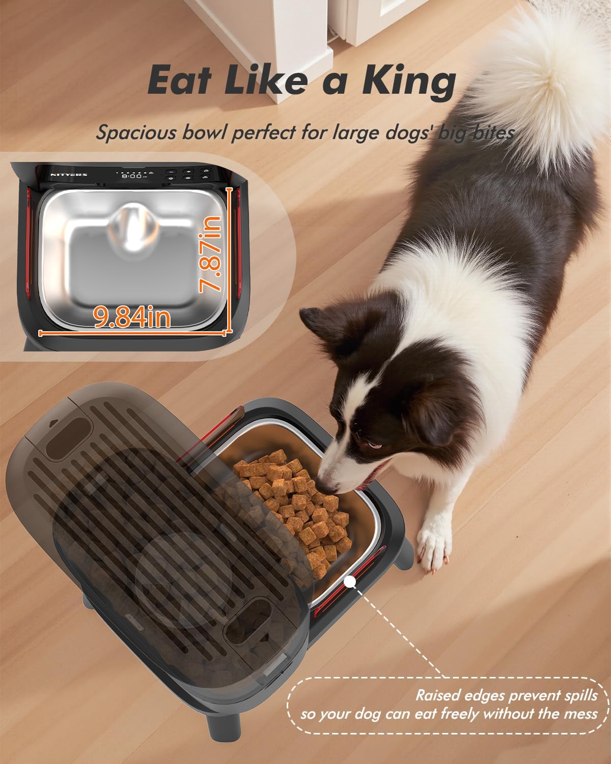 Detalle 1 de Automatic Dog Feeder 15L