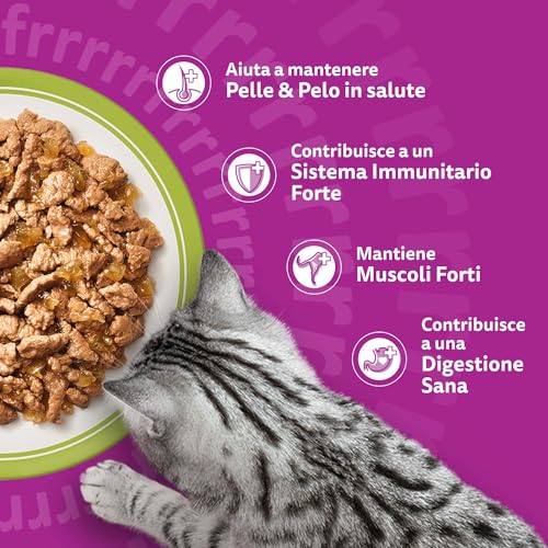 Detalle de Whiskas Cibo Umido per Gatti Adulti in Gelatina – Selezione Assortita, 84 Bustine da 85 g (Totale 7.140 g)