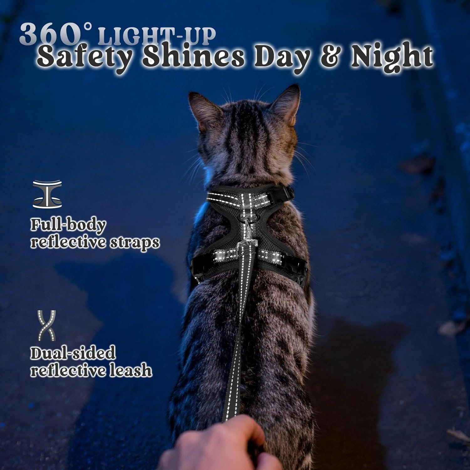 Thumbnail 6 de Rabbitgoo Cat Harness and Lead Set (Medium–Large) – Escape-Proof, Easy-On Vest Harness with 1.5m Lead