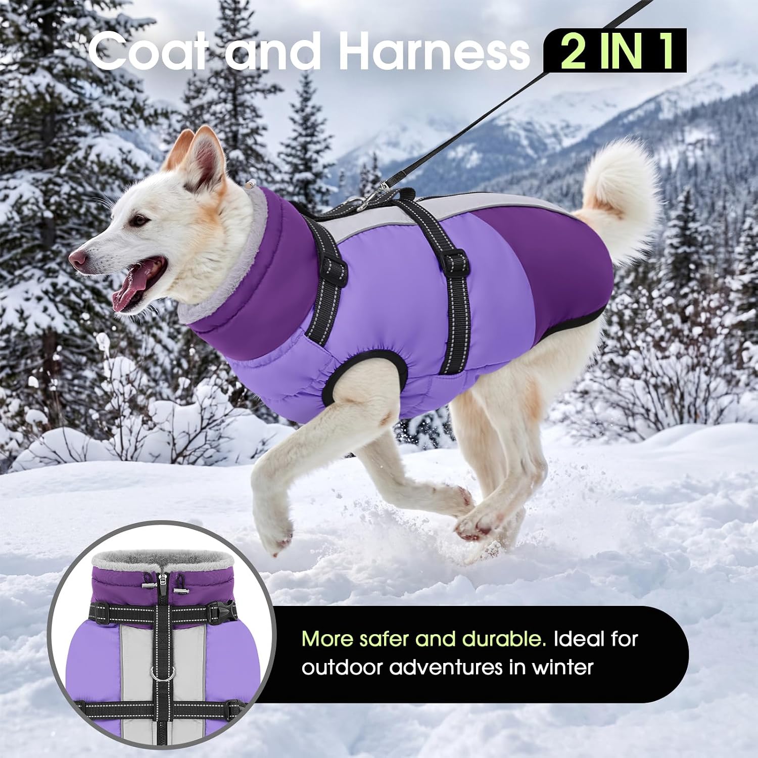 Detalle de SUNFURA Dog Coat, Size S