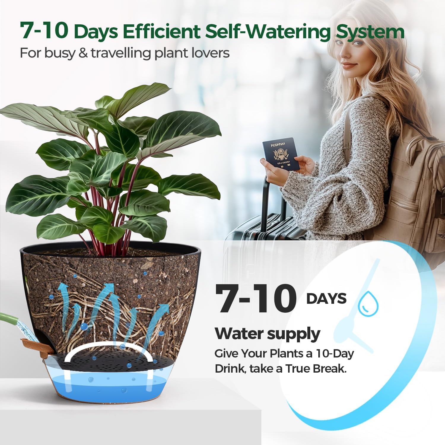 Thumbnail 4 de T4u T4U 15cm Self Watering Plant Pot 15cm