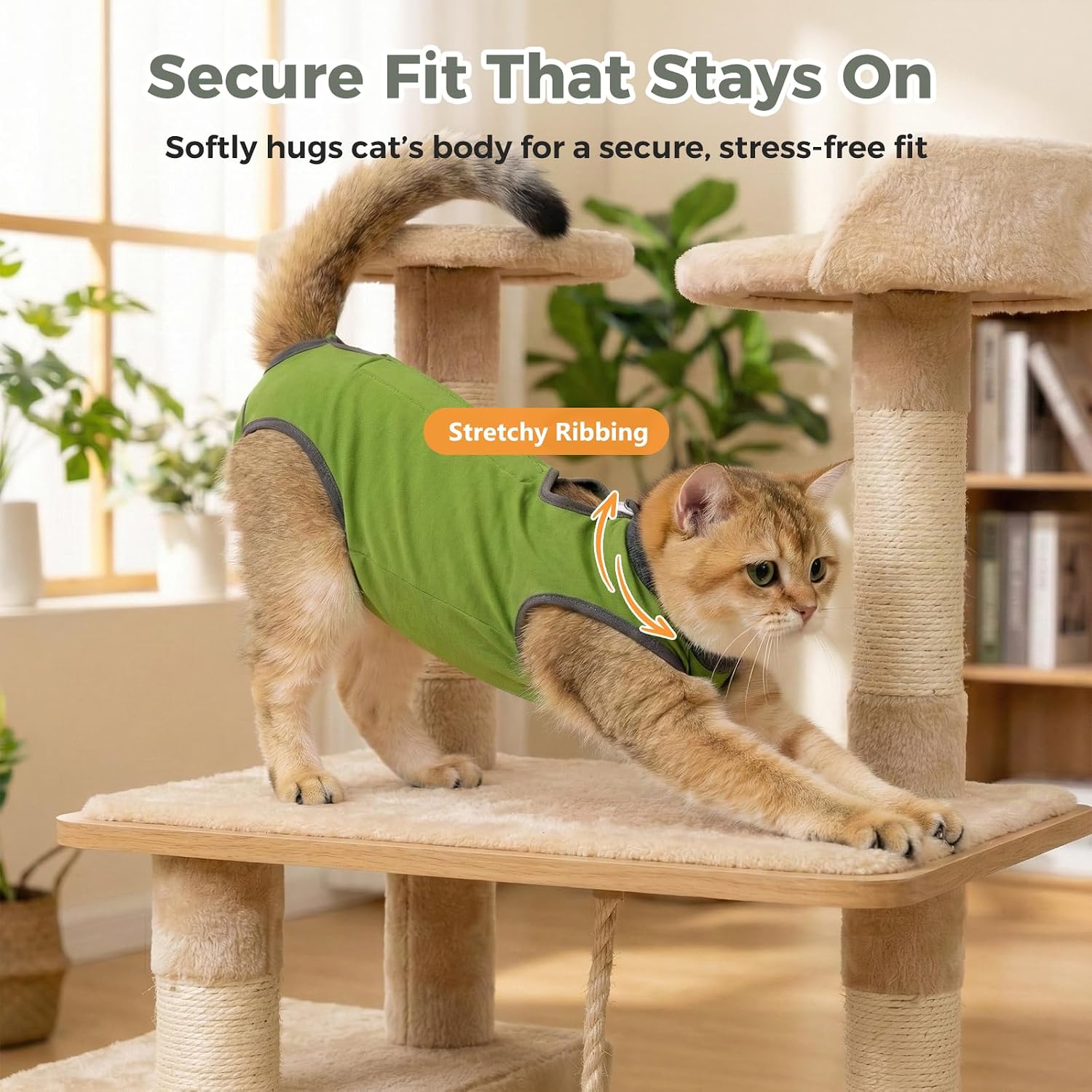 Detalle de Avont Cat Recovery Suit for Surgery (Green, Medium) – Breathable Anti-Licking Onesie for Kittens