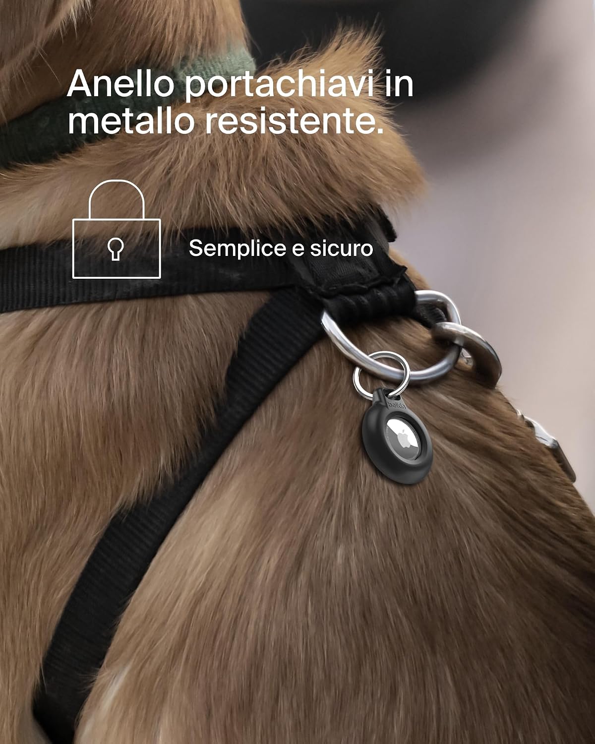 Thumbnail 3 de Belkin Secure Holder impermeabile con anello portachiavi per Apple AirTag (custodia protettiva) – Nero
