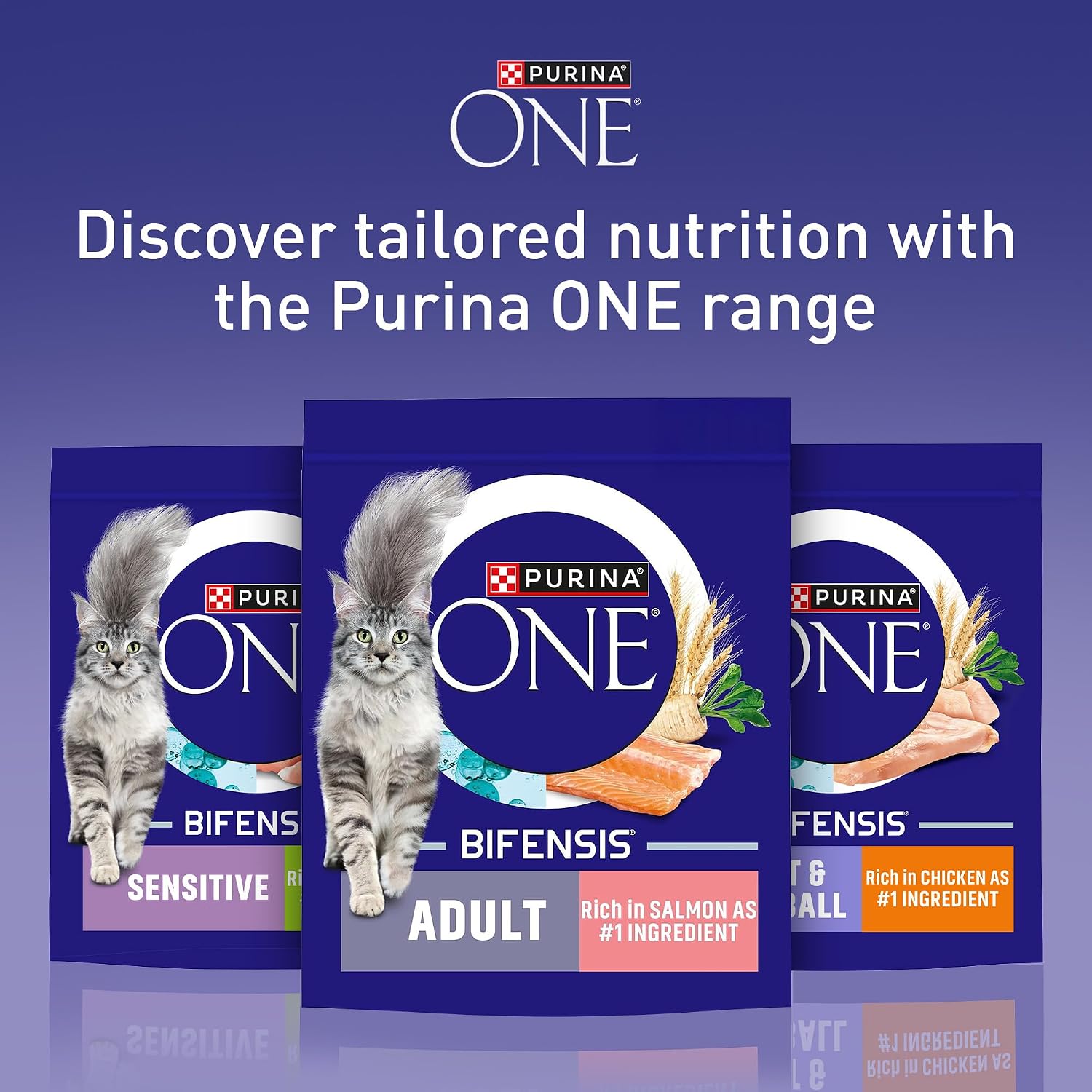 Thumbnail 6 de Purina One Salmon Dry Cat Food 800g (Pack of 4) – Adult Cat Nutrition