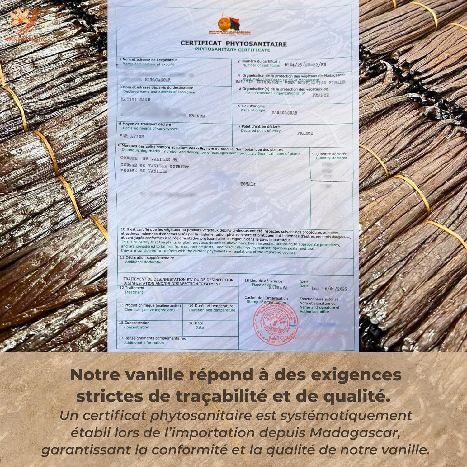 Detalle de 15 Gousses de Vanille XL 15-18cm – Vanille Bourbon Gourmet Madagascar par Vanesencia