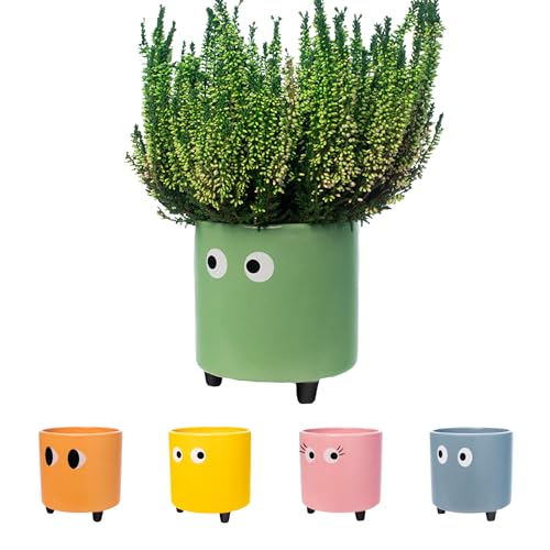 Fisura Macetero Original ojos 13 x 12,5 cm