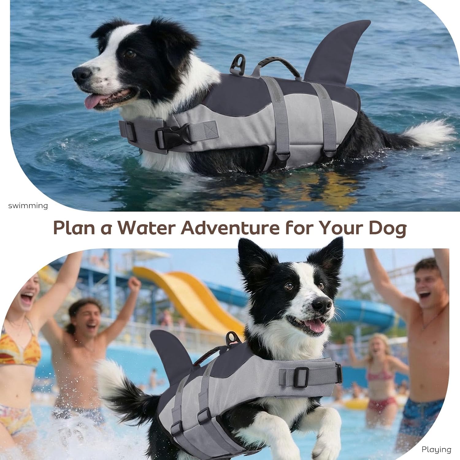 Thumbnail 5 de CITÉTOILE Dog Life Jacket Shark Costume XL