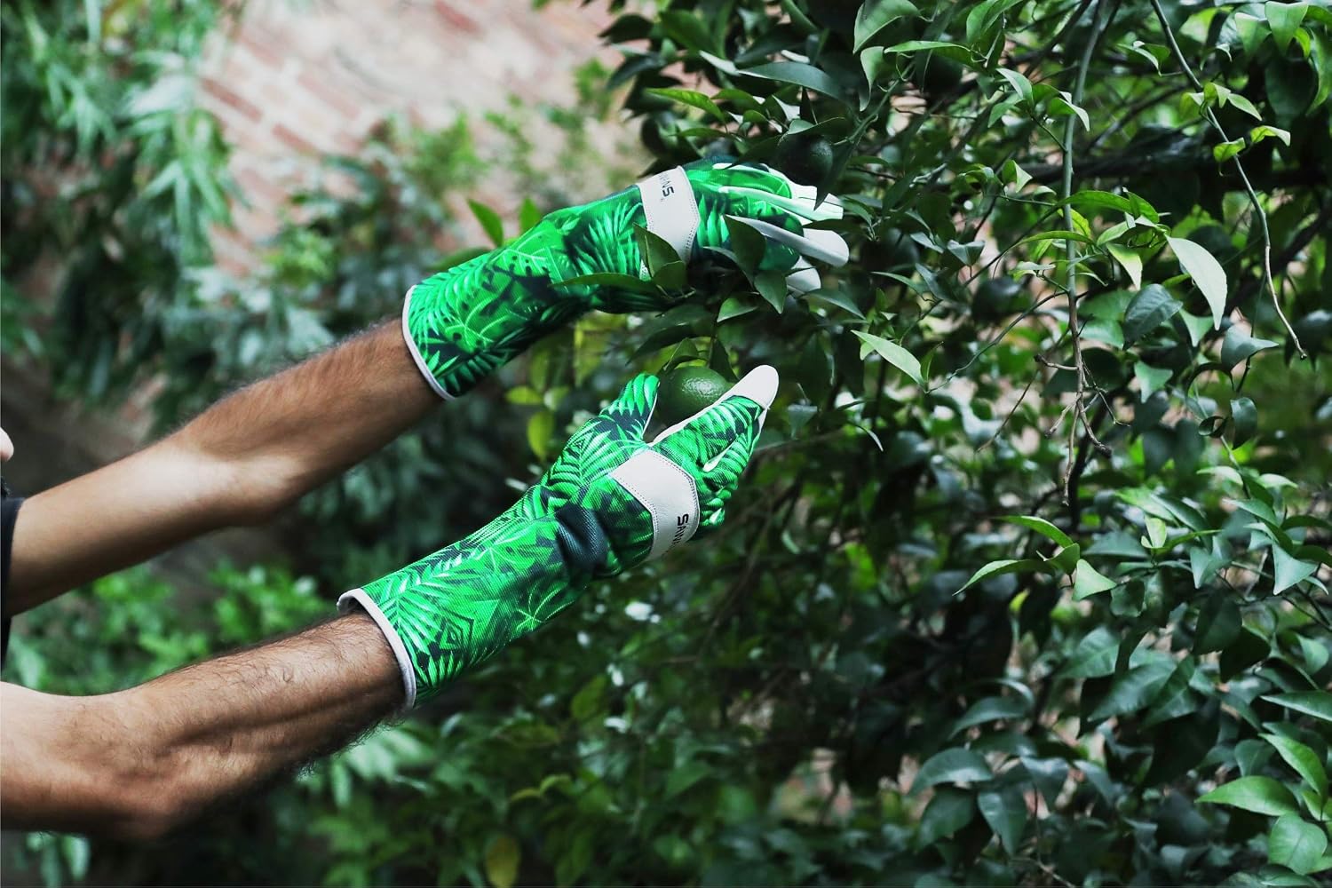Thumbnail 6 de Goatskin Leather Gardening Gloves L — Thorn‑Proof Garden Gloves