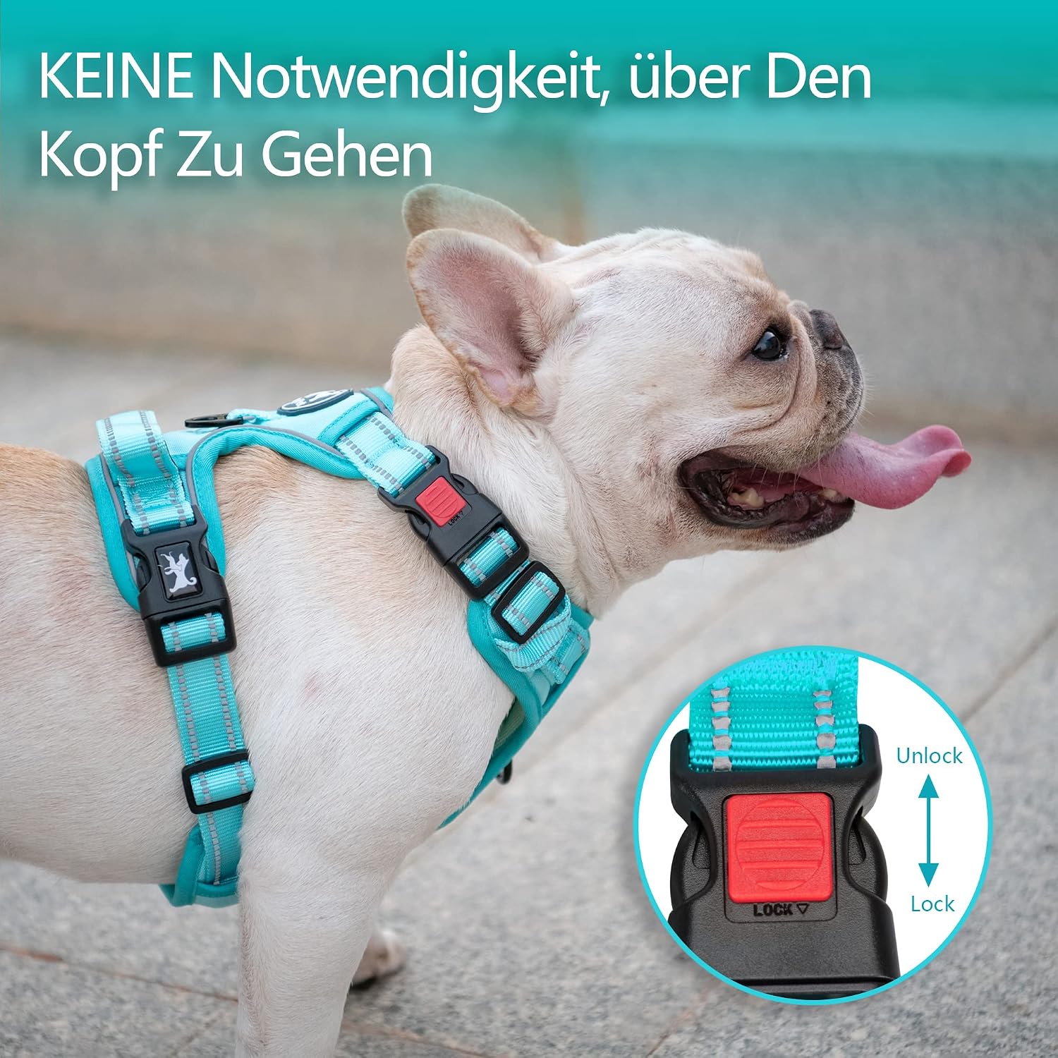 Detalle de PoyPet Hundegeschirr ohne Zug – Reflektierendes, verstellbares Geschirr für mittelgroße Hunde (Mint Blau, Größe M)