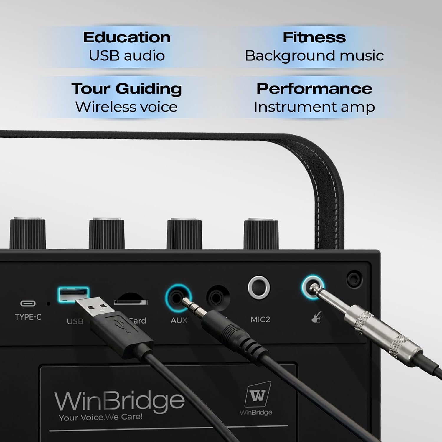 Detalle de WinBridge S97 60W Portable PA Speaker with Dual Wireless Microphones