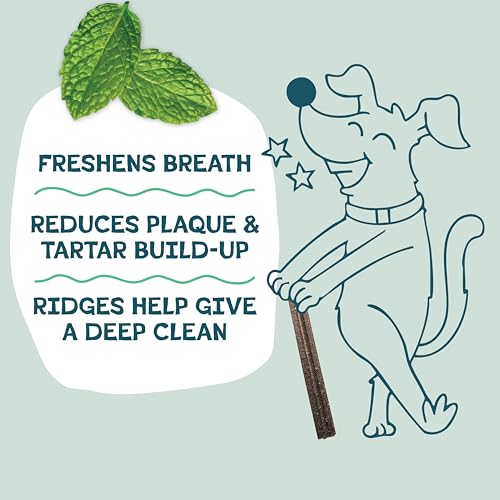 Detalle 2 de Shameless Pets Blueberry & Mint Dental Chews for Dogs (8 Chews) – Grain-Free, Upcycled Health-Focused Dental Sticks
