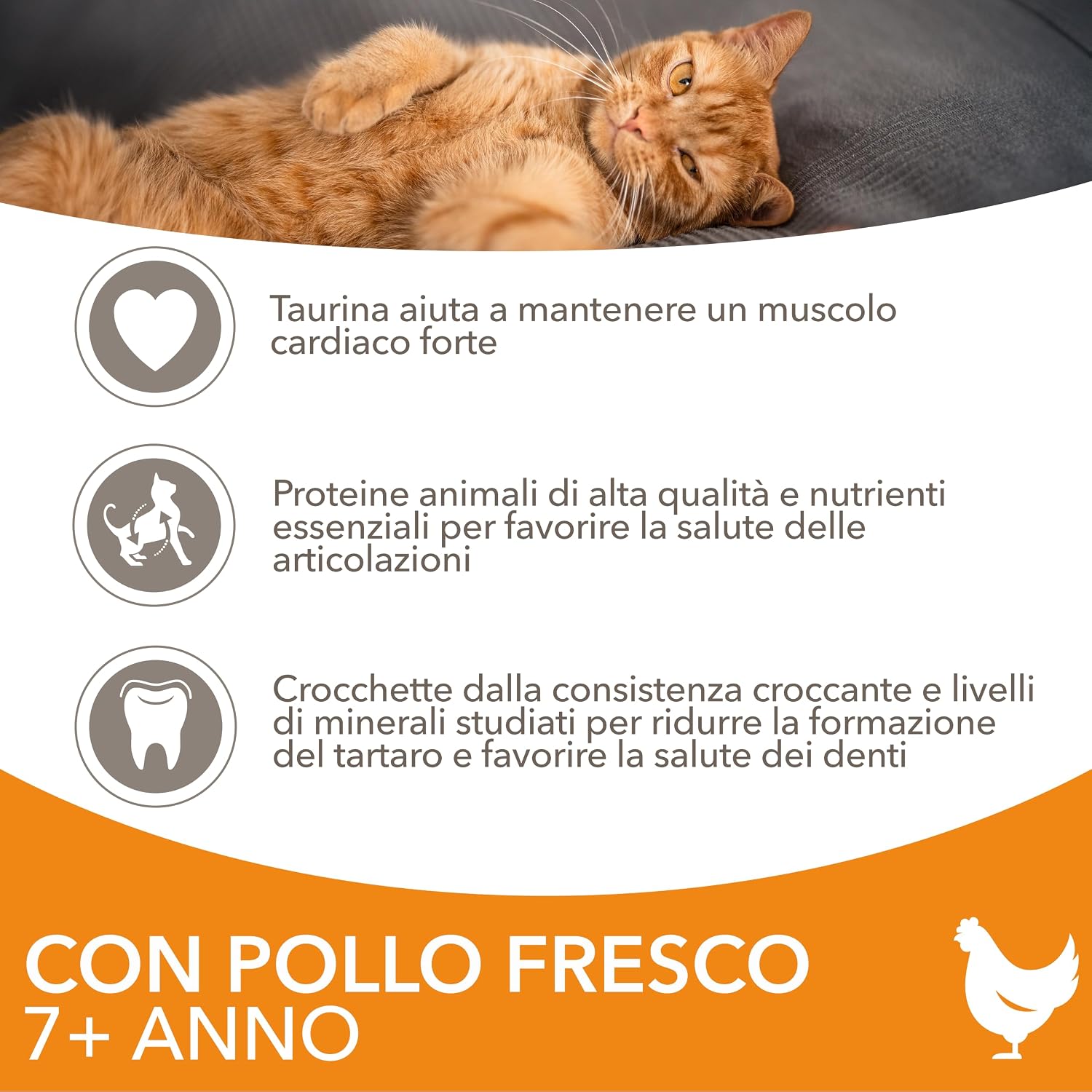 Detalle de IAMS Senior 7+ secco gatti da 3 kg