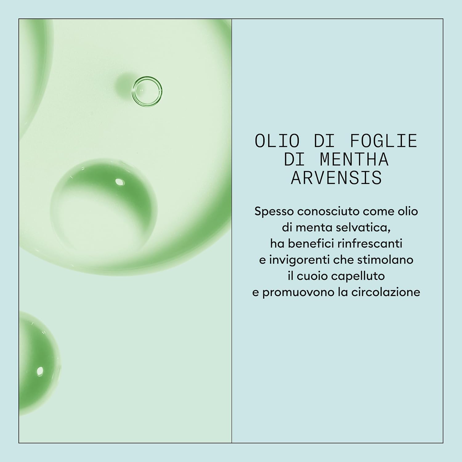 Thumbnail 5 de Nioxin Scalp Recovery Purifying Shampoo per cuoio capelluto irritato, azione antiforfora, 200 ml