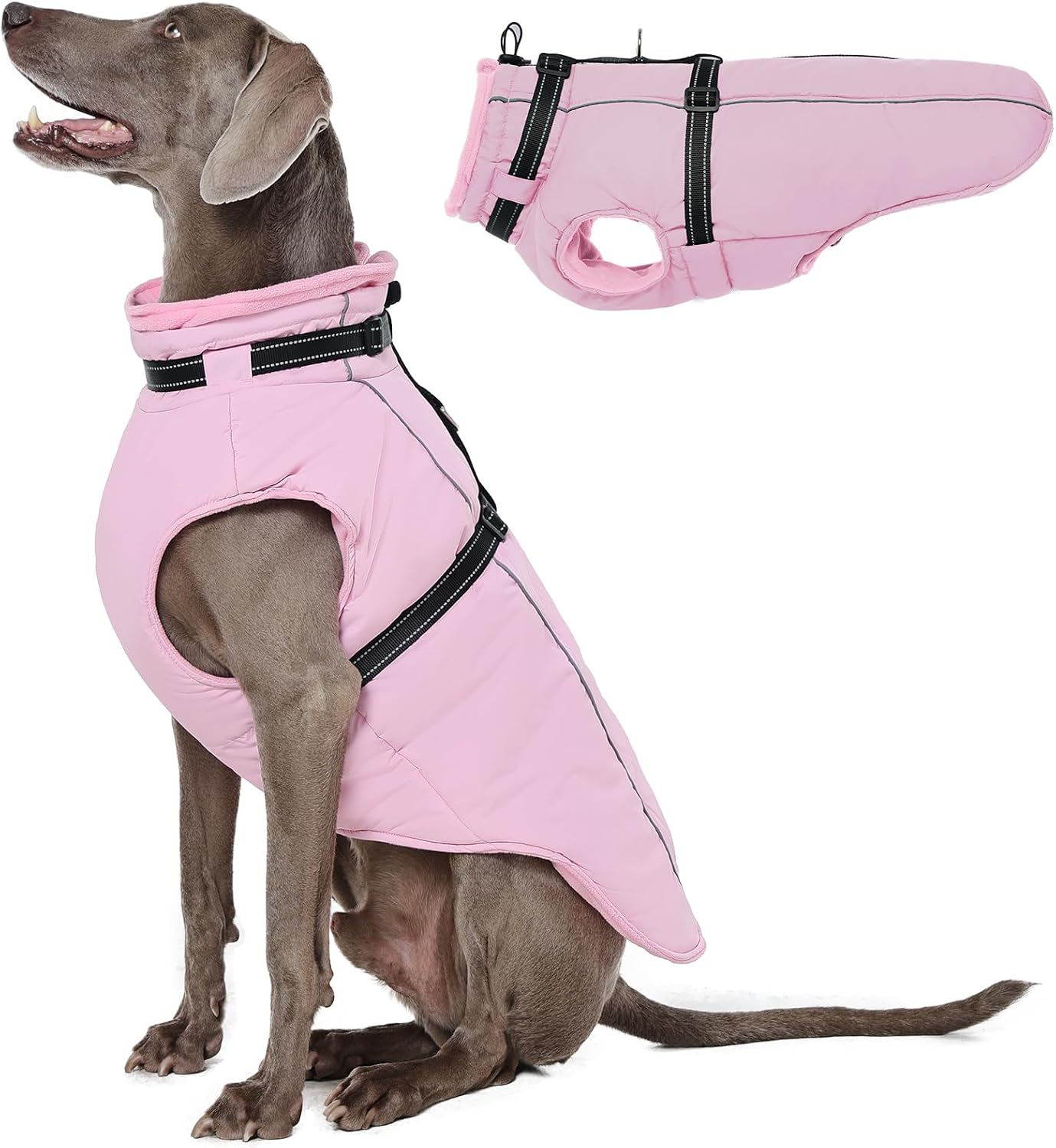 Detalle de Lelepet Winter Dog Jacket XL